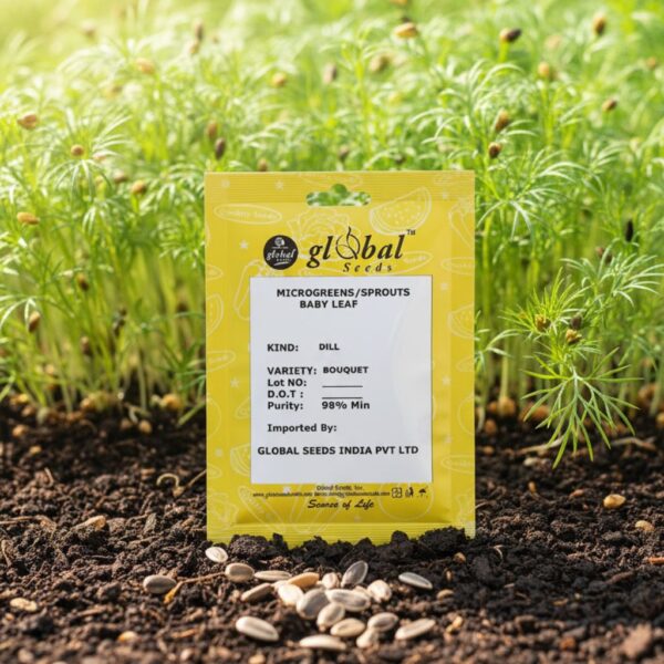 Dill Bouquet Dill Bouquet (Anethum graveolens)