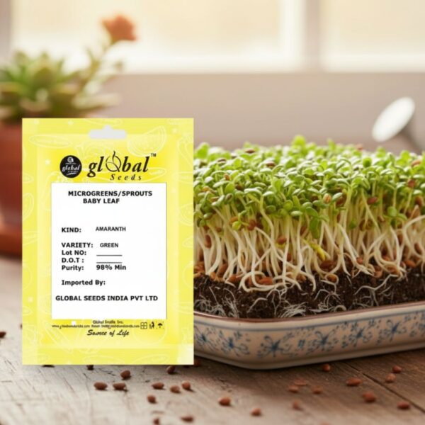 Amaranth Green Amaranth Green – Nutritious & Fast-Growing Leafy Vegetable