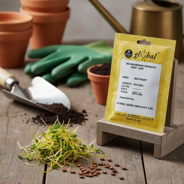 BEETROOT GOLDEN MICROGREENS Beetroot Golden Microgreens