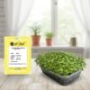 Basil Genovese Basil Genovese – Classic Italian Herb for Flavorful Dishes