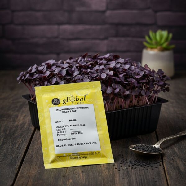 Basil Purple Opal Basil Purple Opal – Ornamental & Flavorful Culinary Herb