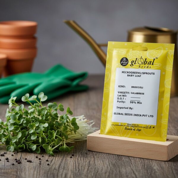 Broccoli Calabrese Broccoli Calabrese