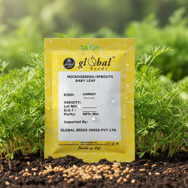 Carrot Microgreen Carrot Microgreen