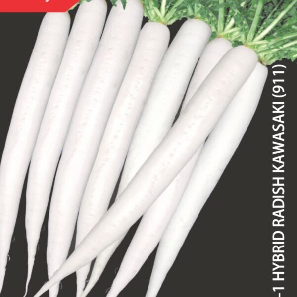 F-1 Hybrid Radish – Kawasaki