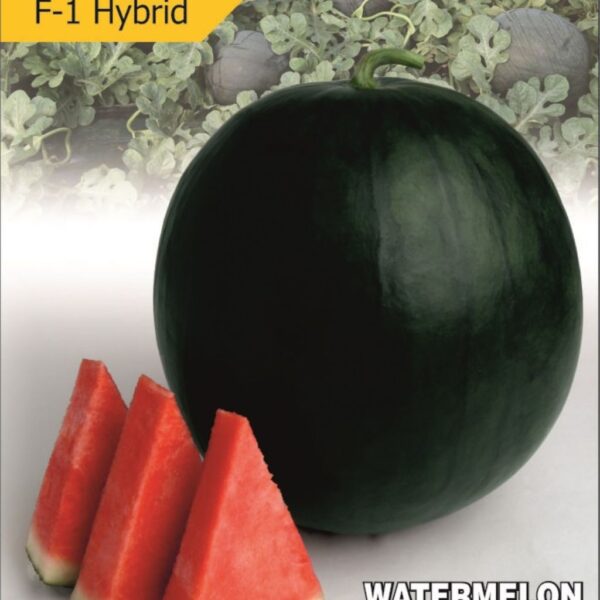 F-1 Hybrid Watermelon – Big Boss