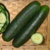 F1 Hybrid Cucumber Victorie