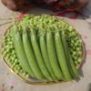 Garden Peas – Tiger
