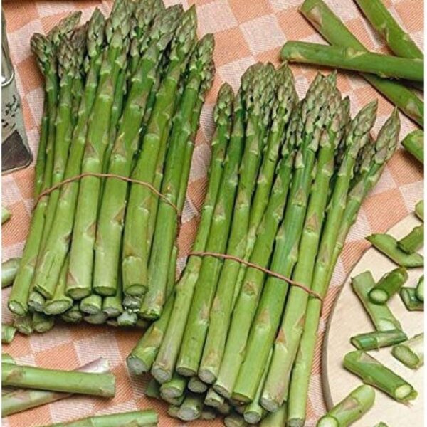 Hybrid Asparagus – Qantas