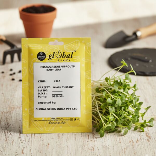 kale-tuskan Kale Black Tuscany Microgreen