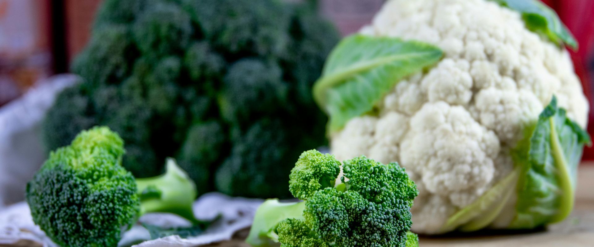 F-1 Hybrid Broccoli Maria