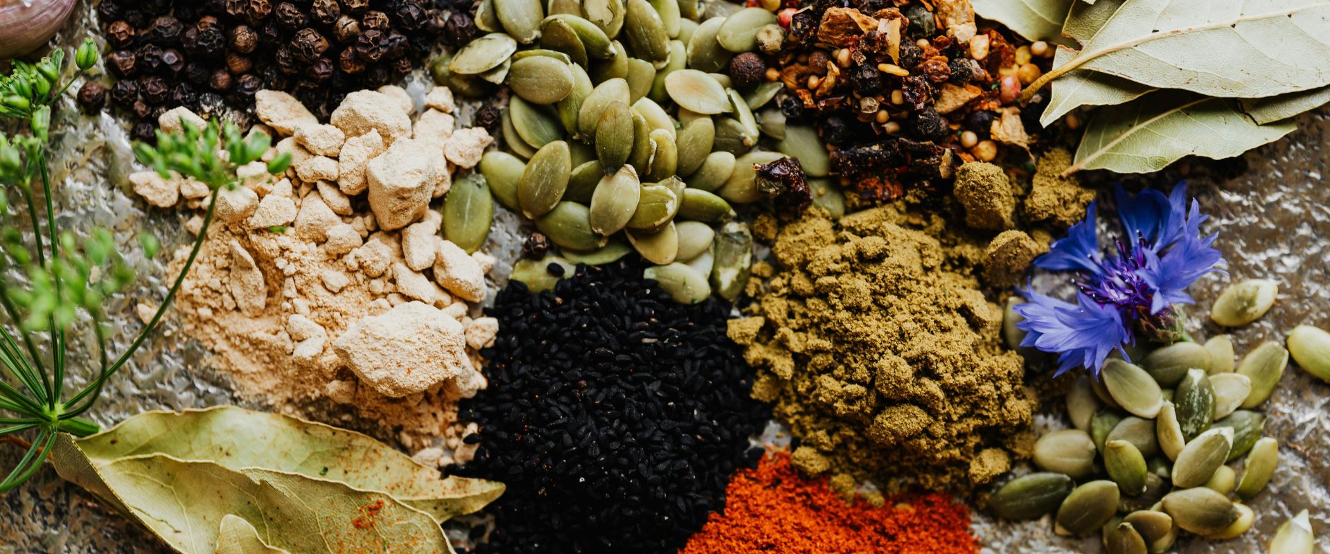 Dill Bouquet (Anethum graveolens)