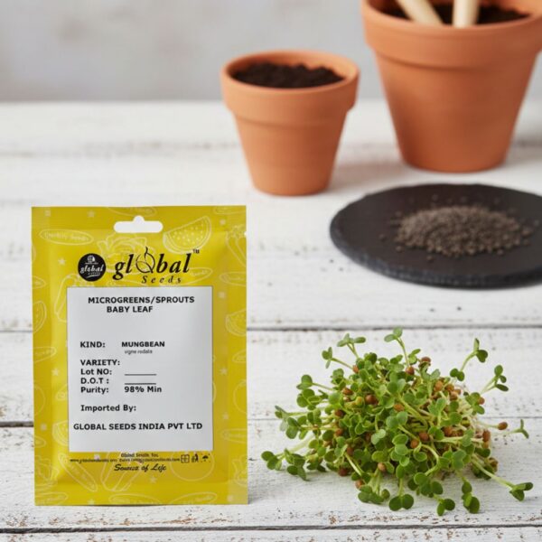 Mung-Bean Mung Beans (Vigna Radiata)