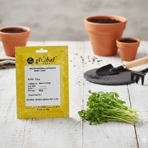 Pea (Pisum Sativum)