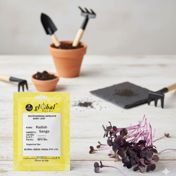 Radish-sango-1 Radish Sango (Raphanus Sativus)