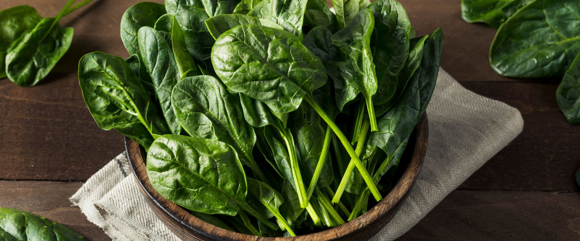 F-1 Hybrid Spinach – Titan